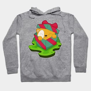 Hamster Christmas Package Hoodie